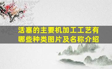 活塞的主要机加工工艺有哪些种类图片及名称介绍