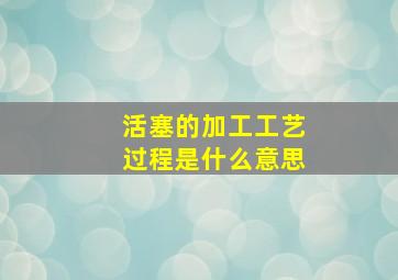 活塞的加工工艺过程是什么意思