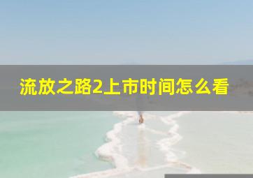 流放之路2上市时间怎么看