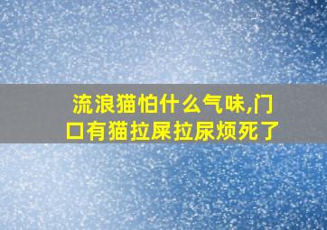 流浪猫怕什么气味,门口有猫拉屎拉尿烦死了