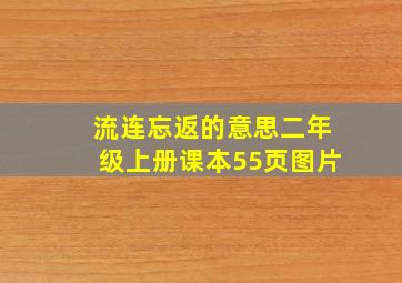 流连忘返的意思二年级上册课本55页图片