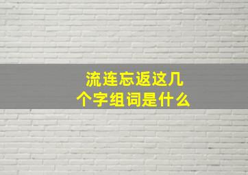 流连忘返这几个字组词是什么