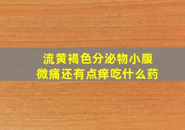 流黄褐色分泌物小腹微痛还有点痒吃什么药