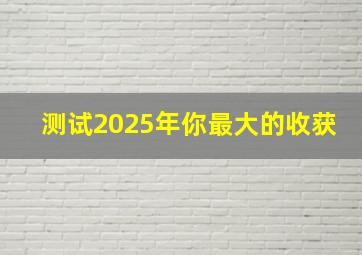 测试2025年你最大的收获