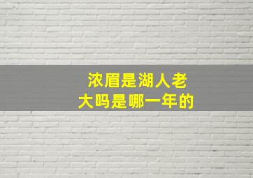 浓眉是湖人老大吗是哪一年的