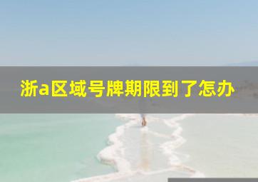 浙a区域号牌期限到了怎办