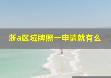 浙a区域牌照一申请就有么