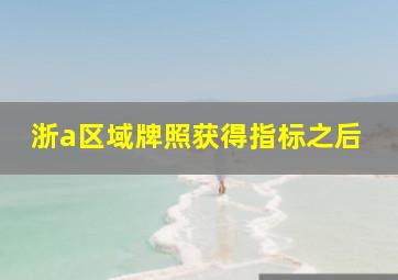 浙a区域牌照获得指标之后