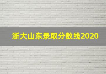 浙大山东录取分数线2020