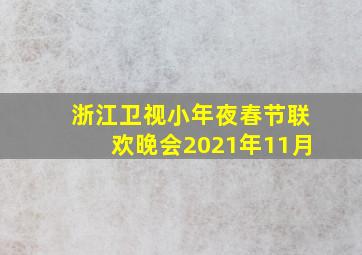 浙江卫视小年夜春节联欢晚会2021年11月