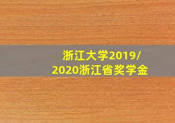 浙江大学2019/2020浙江省奖学金