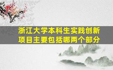 浙江大学本科生实践创新项目主要包括哪两个部分