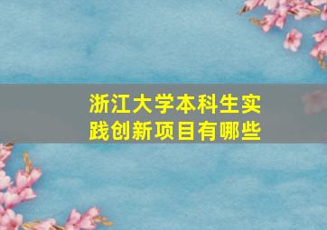 浙江大学本科生实践创新项目有哪些