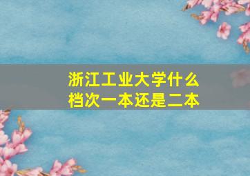 浙江工业大学什么档次一本还是二本