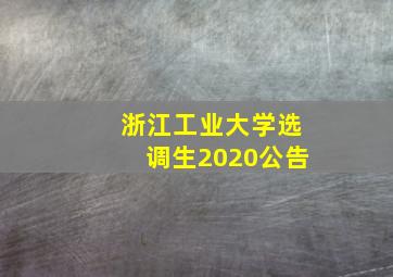 浙江工业大学选调生2020公告