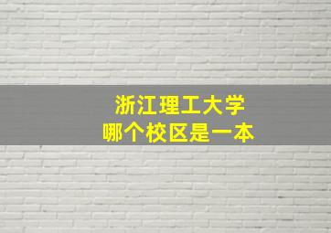 浙江理工大学哪个校区是一本