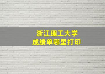 浙江理工大学成绩单哪里打印