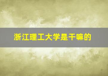 浙江理工大学是干嘛的