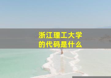 浙江理工大学的代码是什么