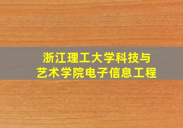 浙江理工大学科技与艺术学院电子信息工程