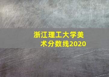 浙江理工大学美术分数线2020