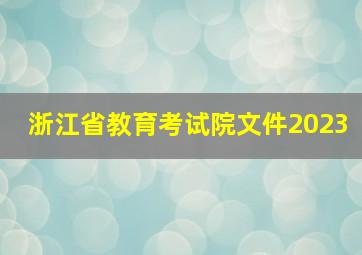 浙江省教育考试院文件2023