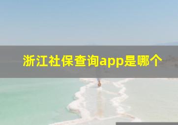 浙江社保查询app是哪个