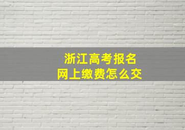 浙江高考报名网上缴费怎么交