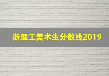 浙理工美术生分数线2019