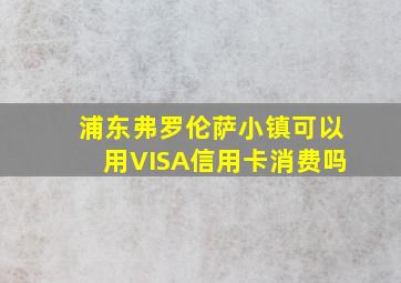 浦东弗罗伦萨小镇可以用VISA信用卡消费吗