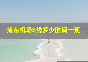 浦东机场8线多少时间一班