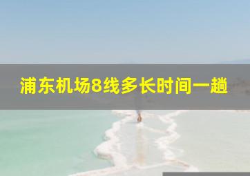 浦东机场8线多长时间一趟