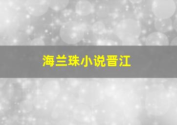 海兰珠小说晋江