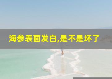 海参表面发白,是不是坏了