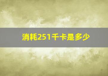 消耗251千卡是多少