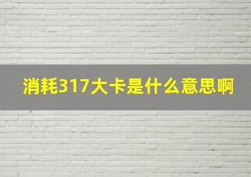 消耗317大卡是什么意思啊