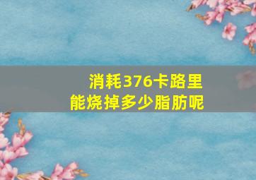 消耗376卡路里能烧掉多少脂肪呢