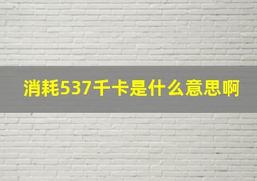 消耗537千卡是什么意思啊