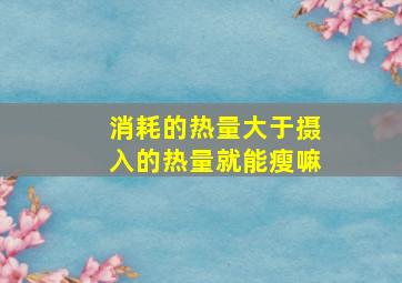 消耗的热量大于摄入的热量就能瘦嘛