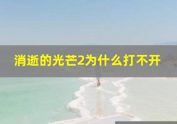 消逝的光芒2为什么打不开