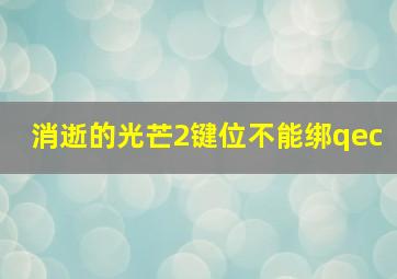 消逝的光芒2键位不能绑qec