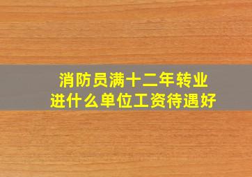 消防员满十二年转业进什么单位工资待遇好