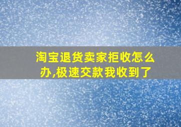 淘宝退货卖家拒收怎么办,极速交款我收到了