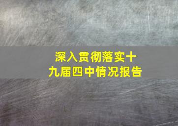 深入贯彻落实十九届四中情况报告