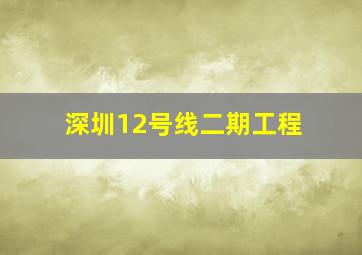 深圳12号线二期工程