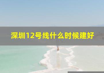 深圳12号线什么时候建好