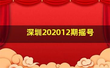 深圳202012期摇号