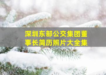 深圳东部公交集团董事长简历照片大全集