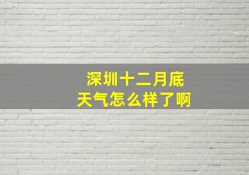 深圳十二月底天气怎么样了啊