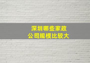 深圳哪些家政公司规模比较大